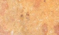 Marble, onyx, Trantine, Indus Gold, Black n Gold, Boticina,verona beig