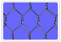 Hexagonal mesh