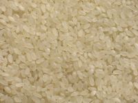 BASMATI RICE EXPORTER| KERNAL RICE WHOLESALER| WHITE RICE MANUFACTURER| LONG GRAIN TRADER| PARBOILED RICE IMPORTERS