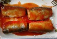 canned sardine in tomato sauce