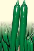 Thailand Emerald Jade - Hybrid  Pepper Seeds