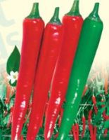 Sequoia - Hybrid Pepper Seeds