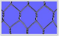 Hexagonal wire netting