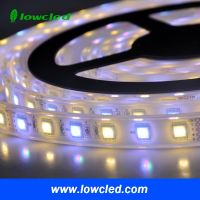 IP20 IP65 IP67 IP68 Flexible led strip light fixtures and water proof 12v led strip lighting manufacturer in China