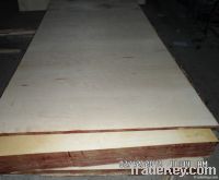 birch plywood