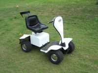 Golf Buggy (GB-100B)