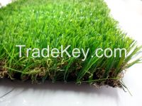 Sports Field Grass