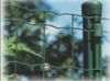 double edged welded mesh