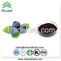 Blueberry Extract