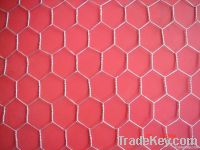 hexagonal wire netting