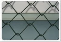 Chain Link Fence