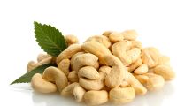 Cashew Nut