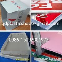 Plastic PP Hollow Sheet