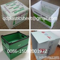 PP Corrugated Plastic Box