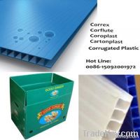 Plastic Corrugated Sheet / Board