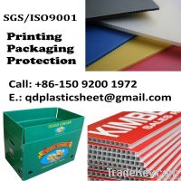 PP Corrugated Sheet