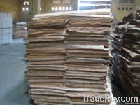 EUCALYPTUS SHORT CORE VENEER