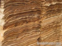 EUCALYPTUS  CORE VENEER