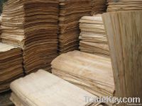 EUCALYPTUS  CORE VENEER