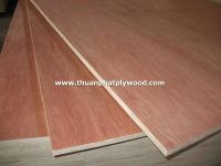 KERUING PLYWOOD