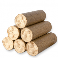 Best Pine wood logs