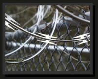 Razor barbed wire mesh