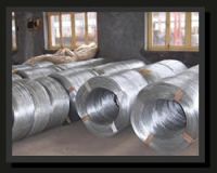 Galvanized Wire