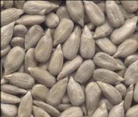 Peanut Kernels