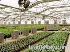 Polycarbonate sheet, agriculture greenhouse, building material