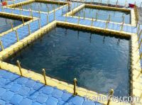 Fish Farm