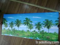 pp paper roller car sunshade