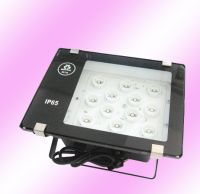 LED flood light