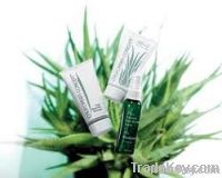 Aloe Vera Skin Care