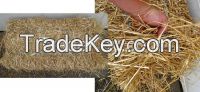 wheat straw hay, wheat straw bale, wheat hay bale, straw bale,animal filler bale,forage