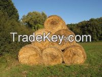 wheat straw bale