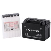 Actived Sealed Maintenance Free Lead Acid