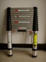 telescopic ladder