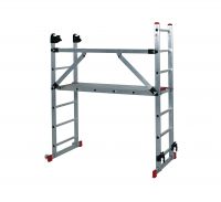 Combi ladder