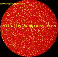 diamond powder for general lapidary use