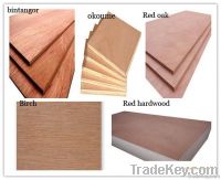 China commercial plywood