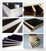 construction plywood