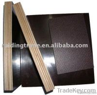 construction plywood