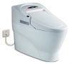 Electronic Toilet TZ8068
