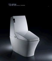 Electronic Toilet TZ8705