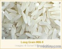 Long Grain IRRI-9 White Rice