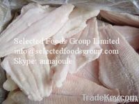 Frozen Channel Catfish Fillet