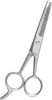 Thinning Scissors