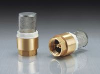 brass check valve