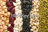 green mung beans, kidney beans, navy beans, lima beans, pinto beans, black-eyed peas , lentil, chick peas, Pink Bean, pinto beans