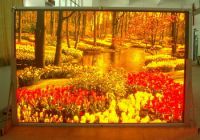 LED Video Display Screen